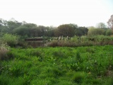 Alverstone Marshes Iron Age track / causeway - PID:50062