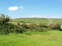 Castle Hill, Mottistone