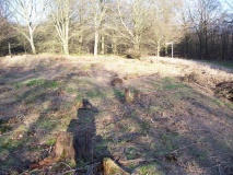 Brighstone Forest Enclosure / Moot