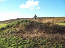 Headon Warren
