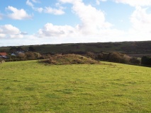Headon Warren