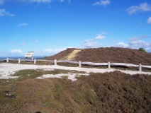 Headon Warren