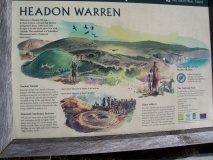 Headon Warren