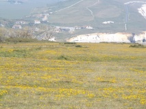Long Mortuary Enclosure, 800mtr West of Freshwater Bay House