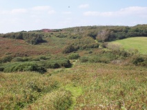 Mottistone Common Bowl Barrow