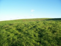 Shanklin Down Barrows