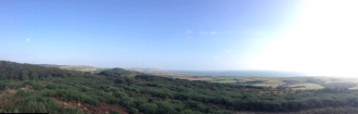 Mottistone Common Bowl Barrow - PID:125096