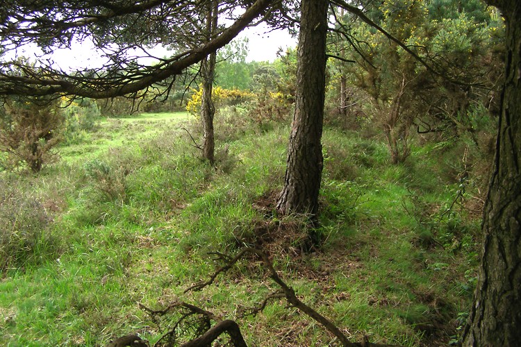 Jacob's Barrow