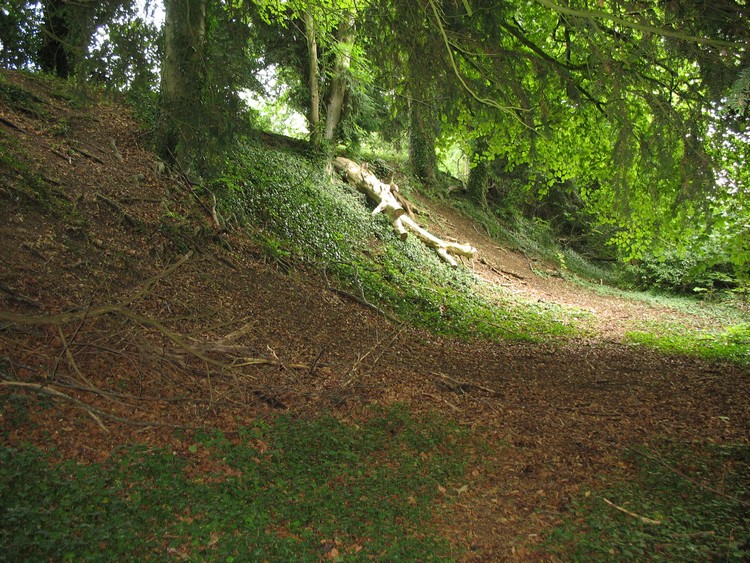 Bury Hill (Hampshire)
