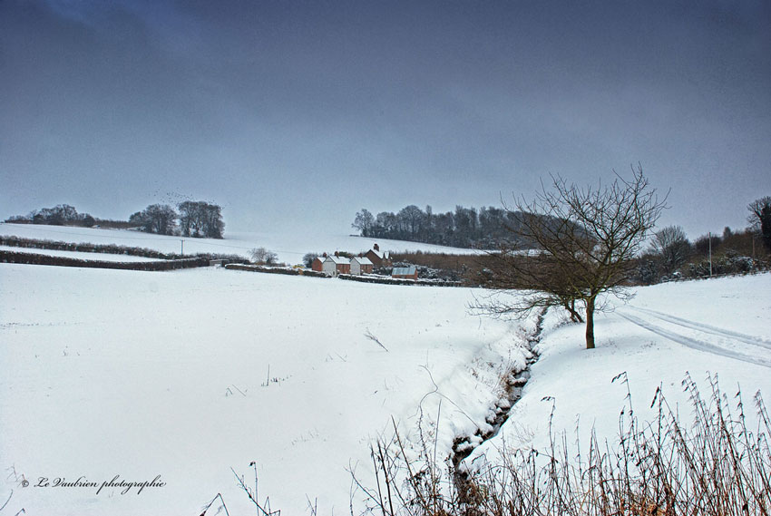 Click for the gallery page to add comments and vote (PID:169716) Sheephouse Copse