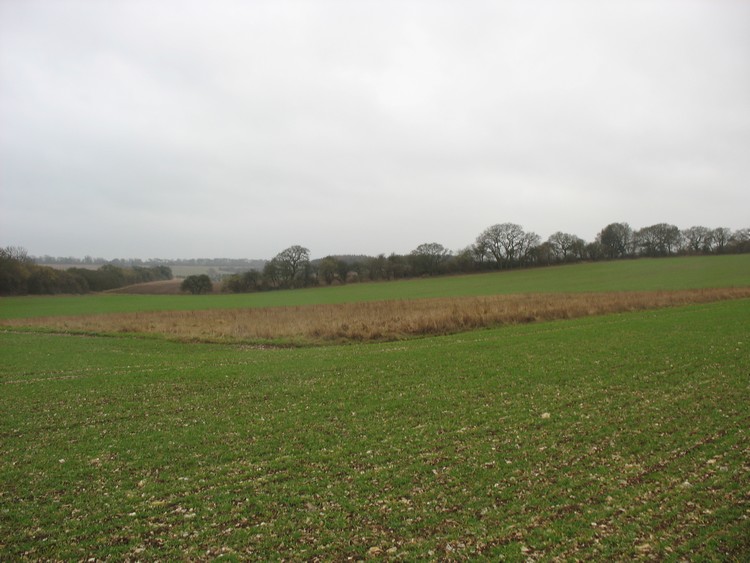 Ridgeway Farm