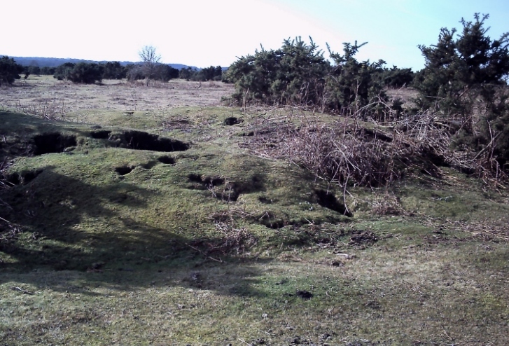 Plaitford Barrow