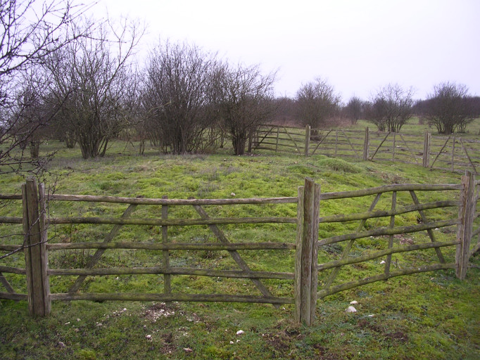 Stockbridge Down Bowl Barrows