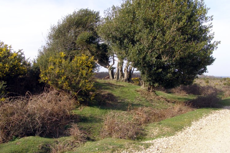 Longslade View tumulus