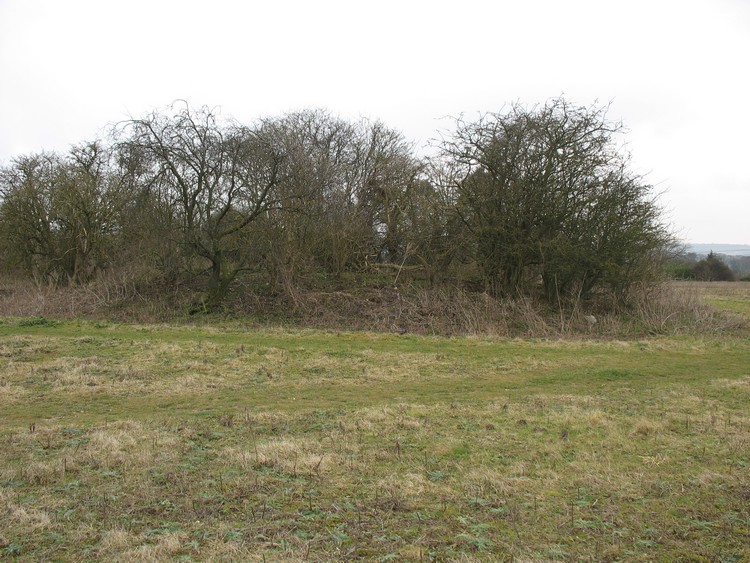 Texas Barrows