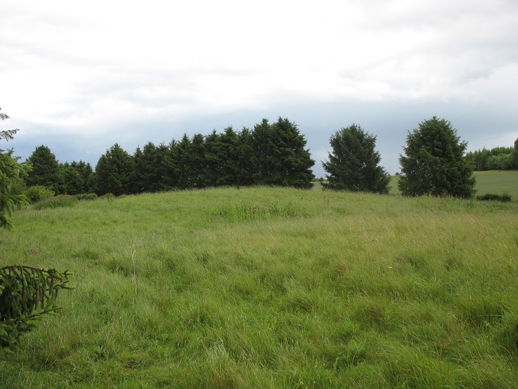 Three Barrows (Laverstoke)