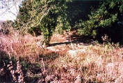 Duck's Nest - PID:5705