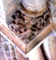 Romsey Abbey - PID:2874