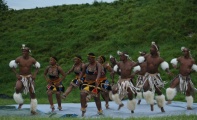 The Lions of Zululand at Danebury - PID:39310