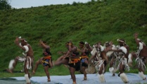 The Lions of Zululand at Danebury - PID:39311