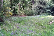 Micheldever Wood Banjo Enclosure - PID:17082