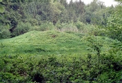 Micheldever Wood Bell Barrow - PID:17087