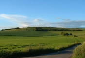 Old Winchester Hill hillfort - PID:9379