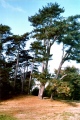 Petersfield Heath - PID:5645