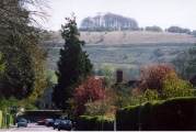 St Catherine's Hill (Hampshire) - PID:5510