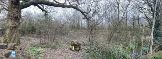 Petty's Copse Long Barrow - PID:298074