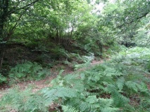 Toothill Camp