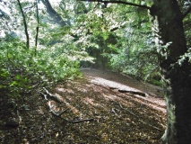 Tatchbury Mount