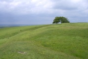 Click for full size image of Ladle Hill (PID:14727) Ladle Hill