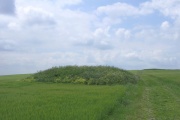 Click for full size image of Ladle Hill (PID:14726) Ladle Hill