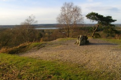 Moyles Court bowl barrow