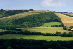 Old Winchester Hill hillfort