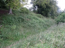 St Catherine's Hill (Hampshire)
