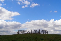 Stockbridge Down Bowl Barrows