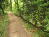 Bury Hill (Hampshire)