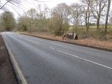 Monument to a Horse - PID:255576