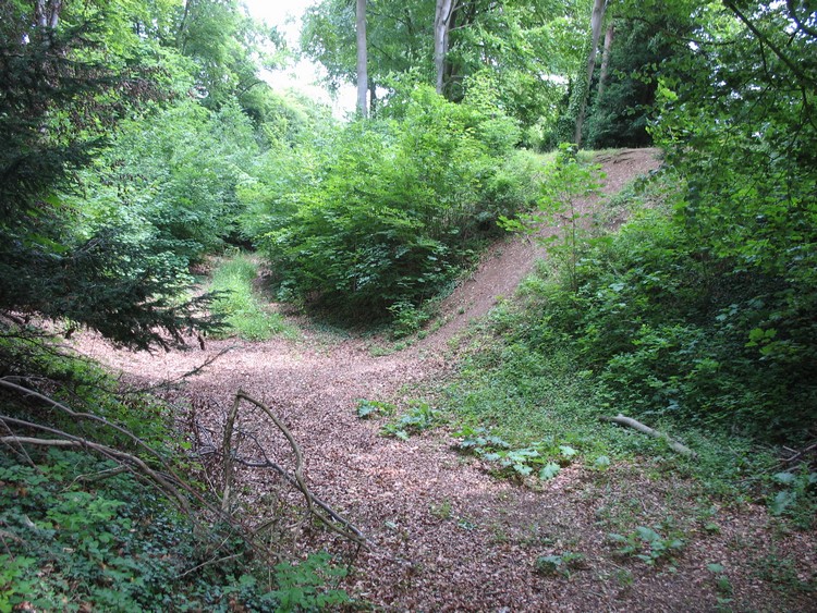 Bury Hill (Hampshire)
