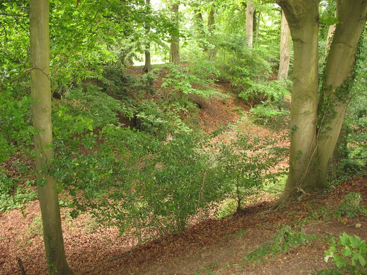 Bury Hill (Hampshire)