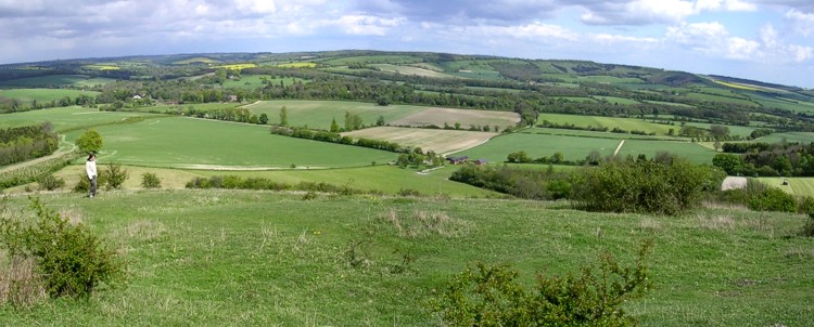 Beacon Hill (Warnford)
