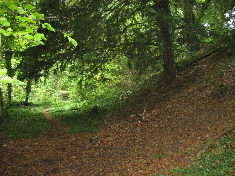 Bury Hill (Hampshire)