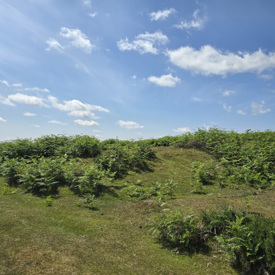 Garway Hill