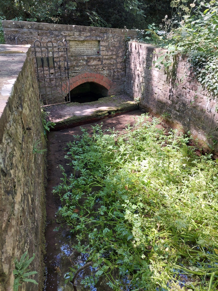 Higgin's Well