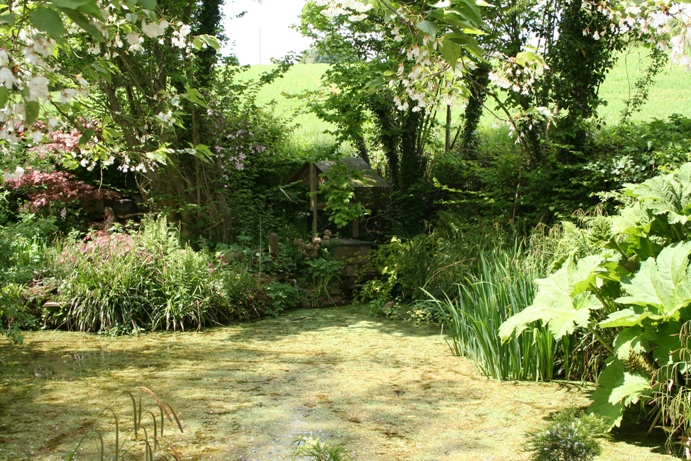 Holy Well (Dinedor)
