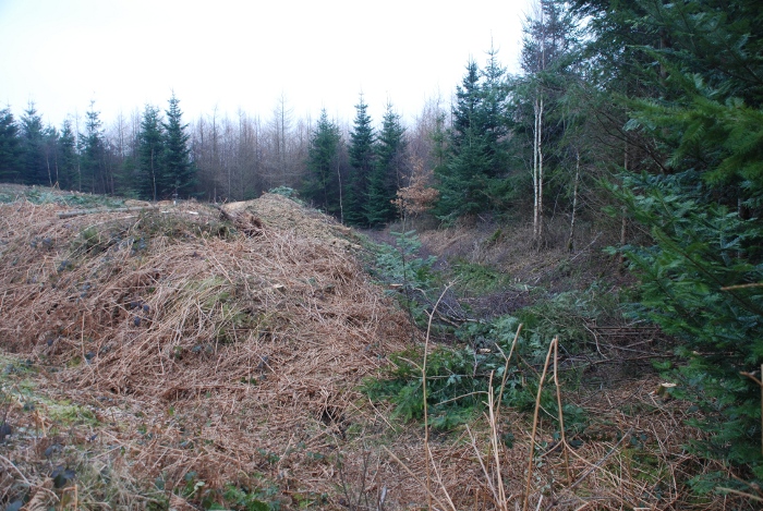 Click for the gallery page to add comments and vote (PID:54727) Haye Park Wood Enclosure