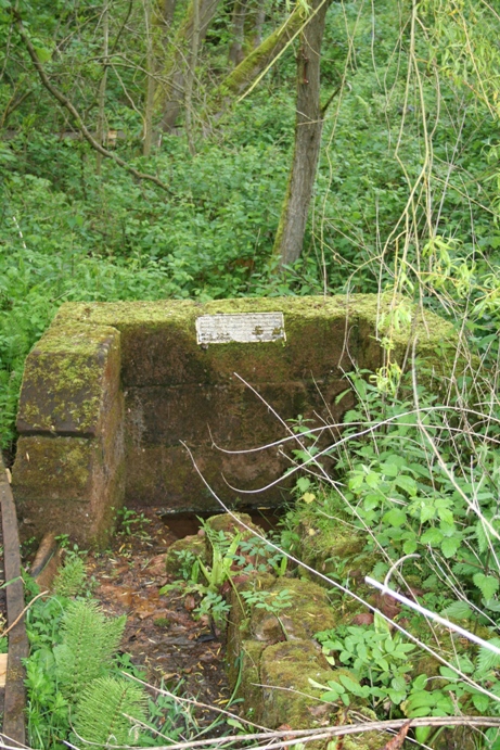 St Kenelm's Well