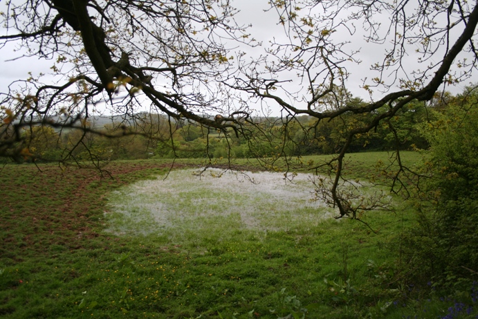 St Kenelm's Well